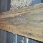 Planer Sanding Machine