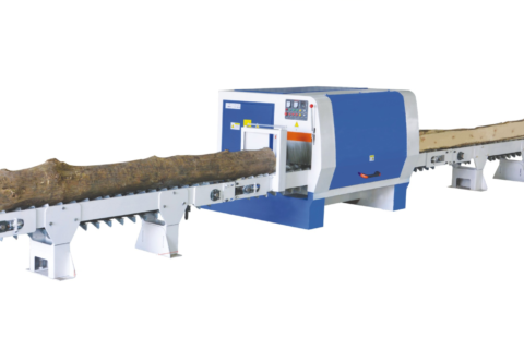 Multi rip saw for log cutting