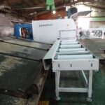 Multi rip saw for timber cutting