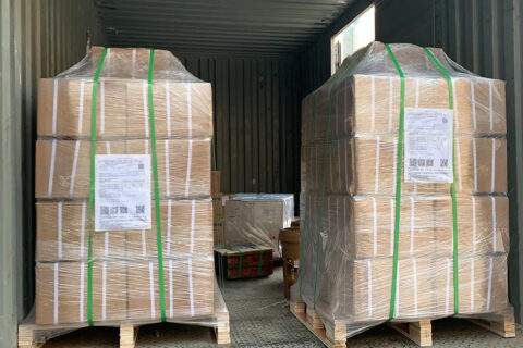 1000 pcs of Finger Cutter Shipping to Dubai