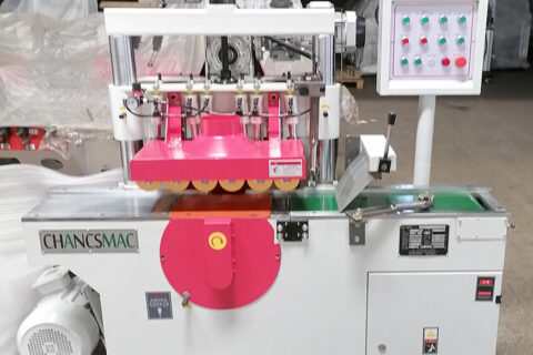 South African customer inspects short timber multi rip saw